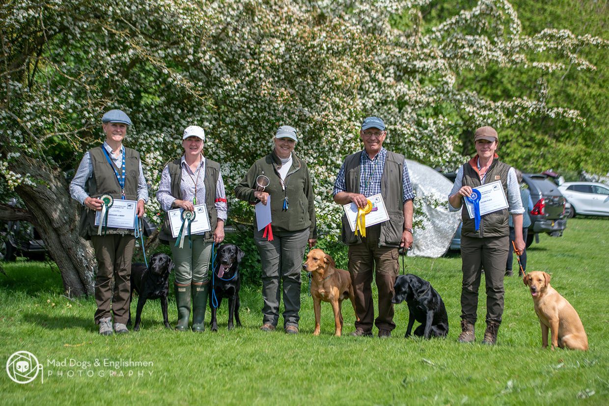 Novice A/V Retriever Working Test award winners