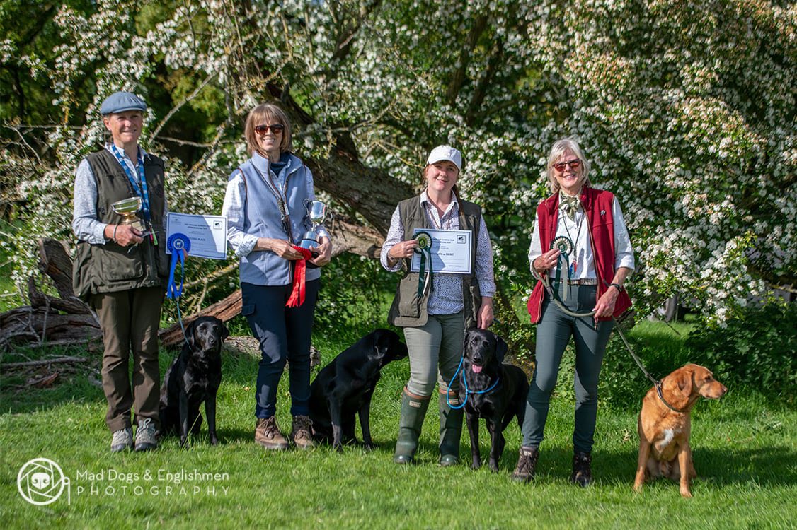 Open A/V Retriever Working Test award winners